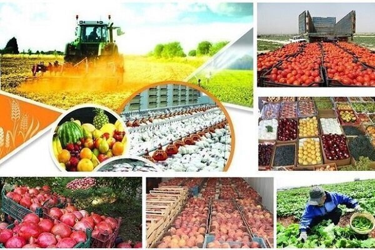 تحقق امنیت غذایی در گرو کاهش وابستگی بهواردات
