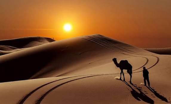 IMG_20251113_150234_240