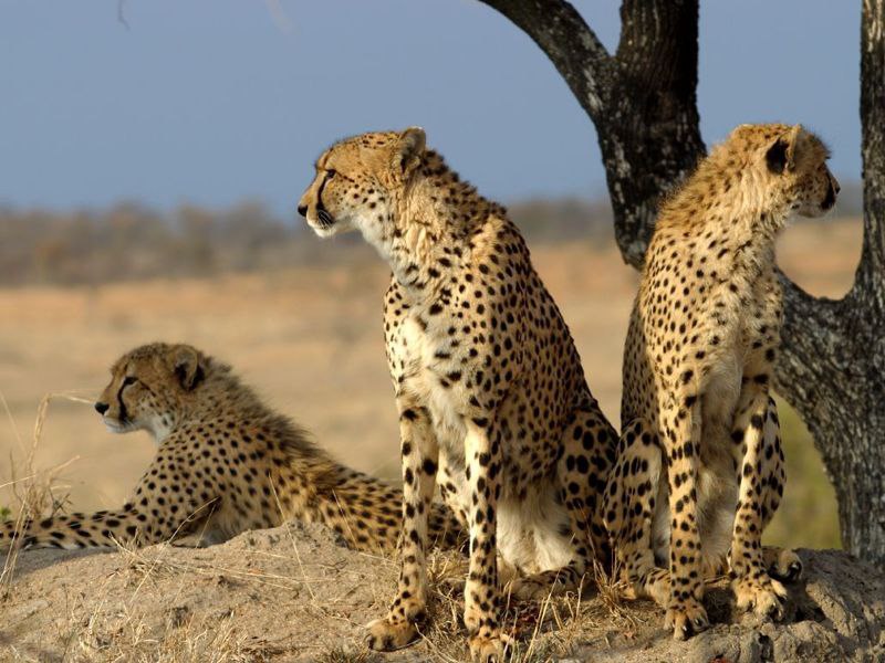 IMG_20251113_150234_055