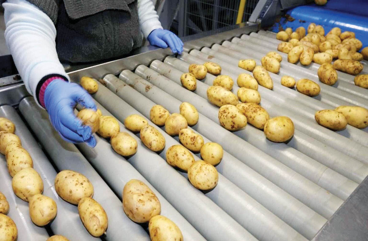 محوری بالا_1 copy