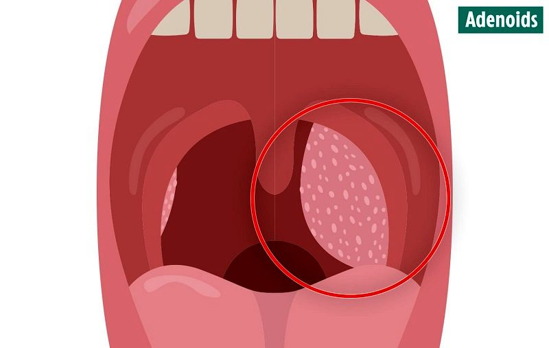 10 عضو بدن که از وجودشان بی‌خبر بودید را بشناسید + عکس 8