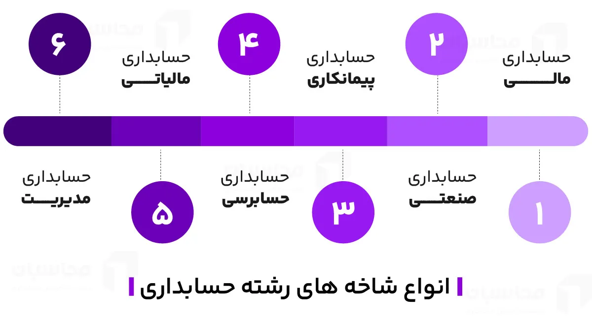 انواع شاخه های رشته حسابداری