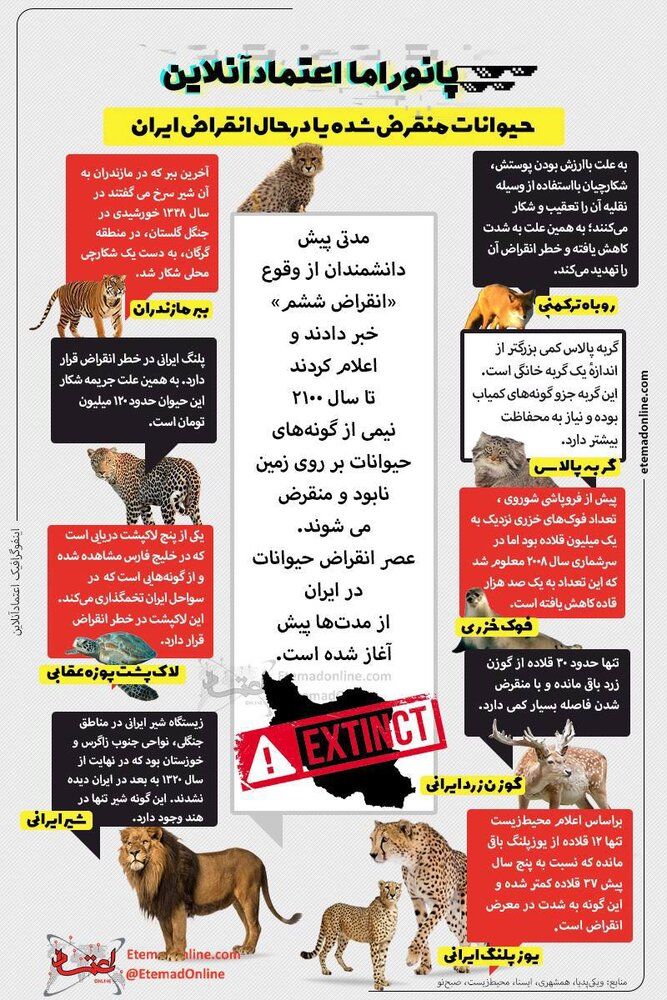اینفوگرافیک | کدام حیوانات در ایران منقرض شدند؟