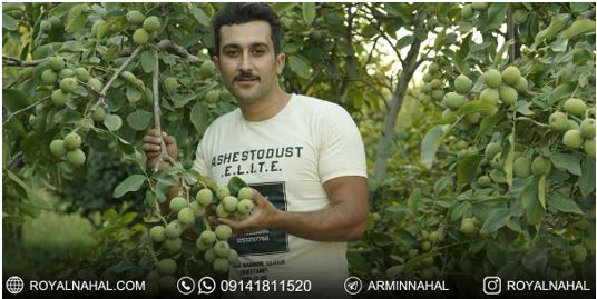 آرمین1