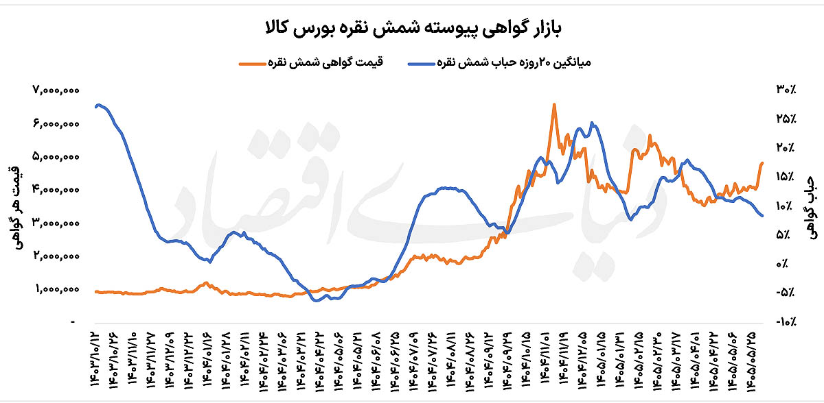 پیشانی بلند نقره بورسی؟