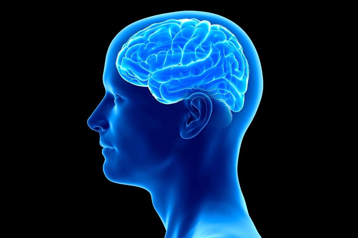 این مکمل کمکی به جلوگیری از آلزایمر نمی‌کند