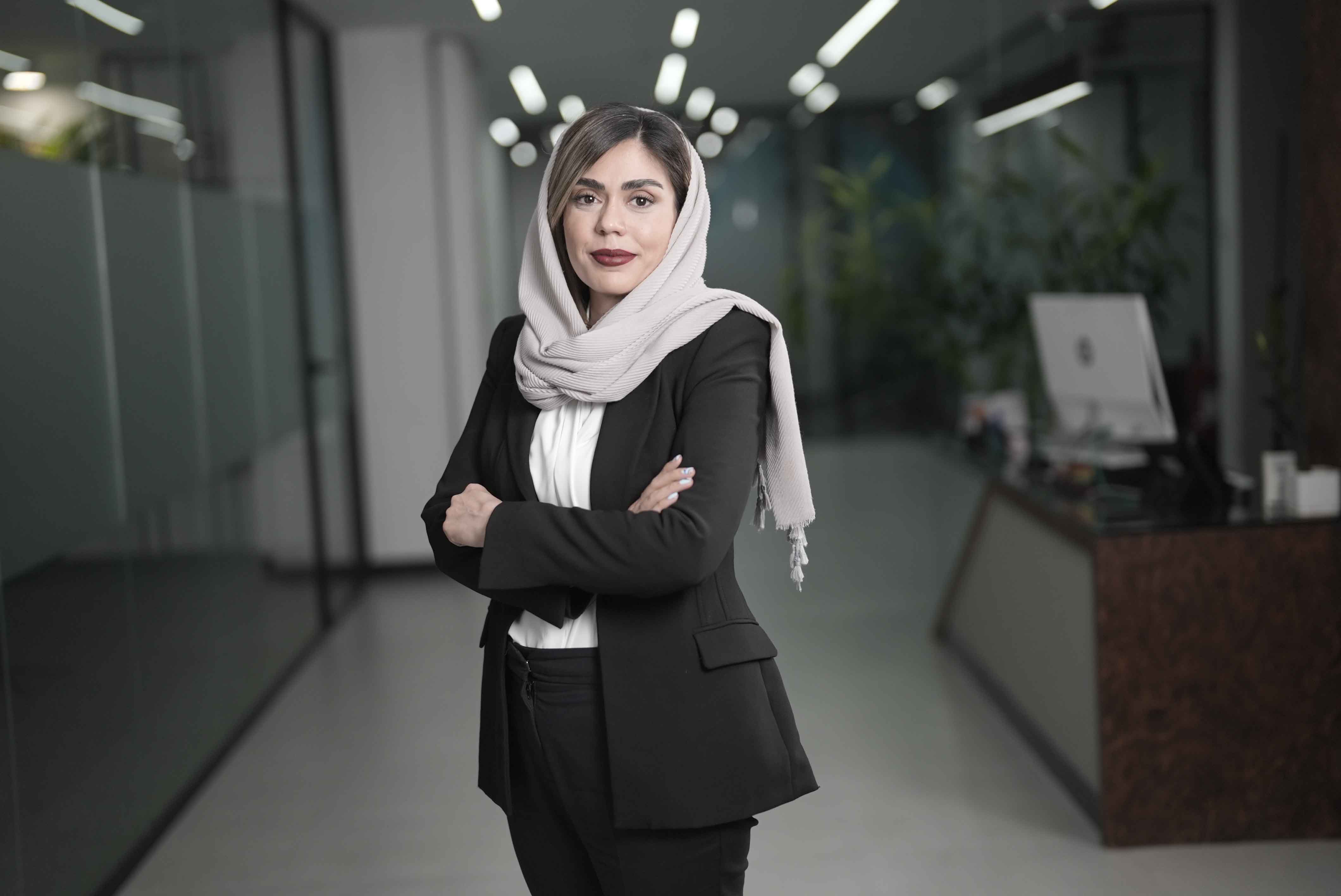 دو بازوی درآمدی وفیروزه