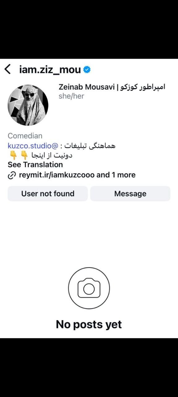 پیج اینستاگرام زینب موسوی بسته شد / توهین آشکار «امپراطور کوزکو» به زبان و ادبیات فارسی!+ عکس 2