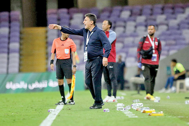 قلعه نویی copy