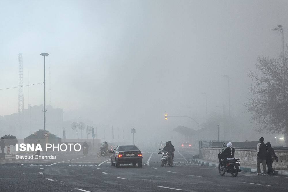 photo_2026-03-03_19-22-08