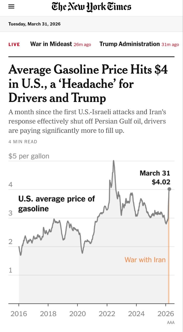 photo_2026-03-31_19-16-29
