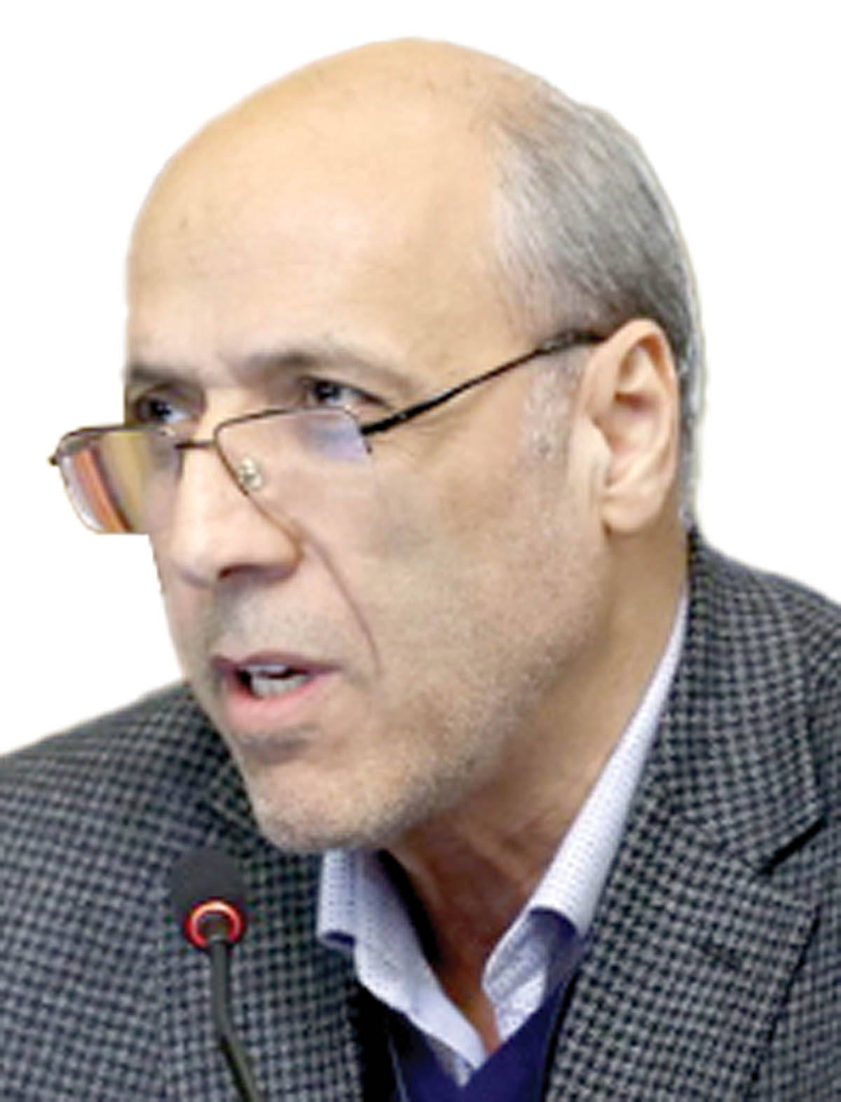 تشکری هاشمی copy