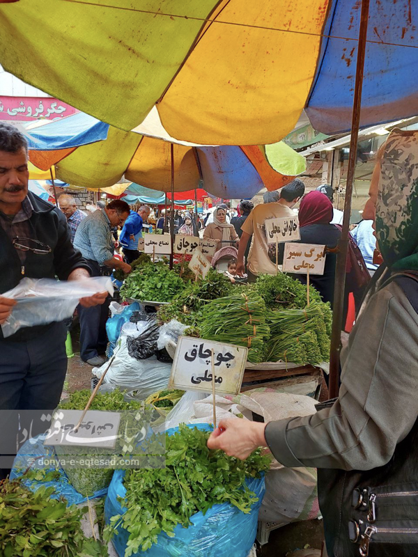 گردشگری
