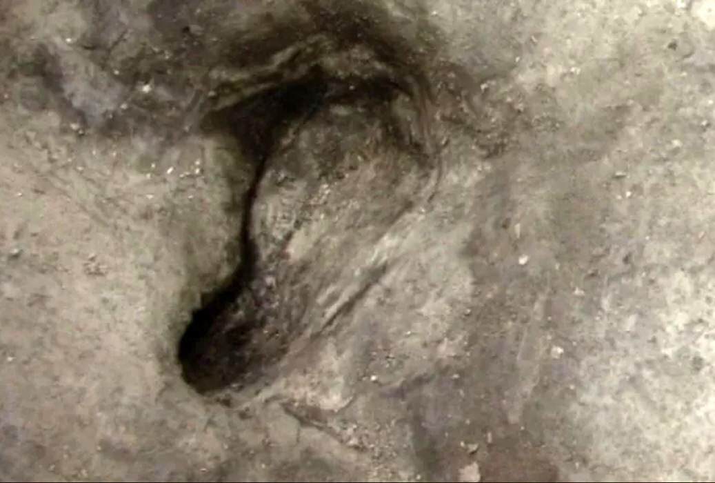 کشف قدیمی‌ترین ردپای انسان در آلمان / عکس