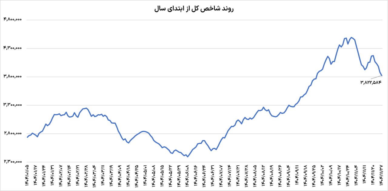 photo_2026-02-16_14-53-30