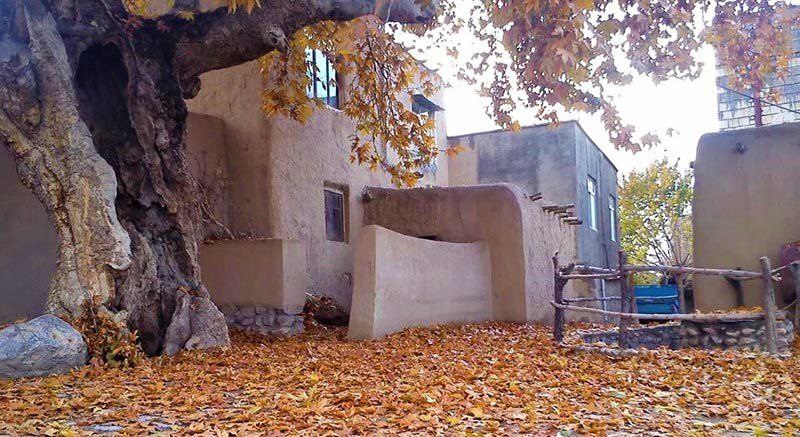 IMG_20251113_150234_250