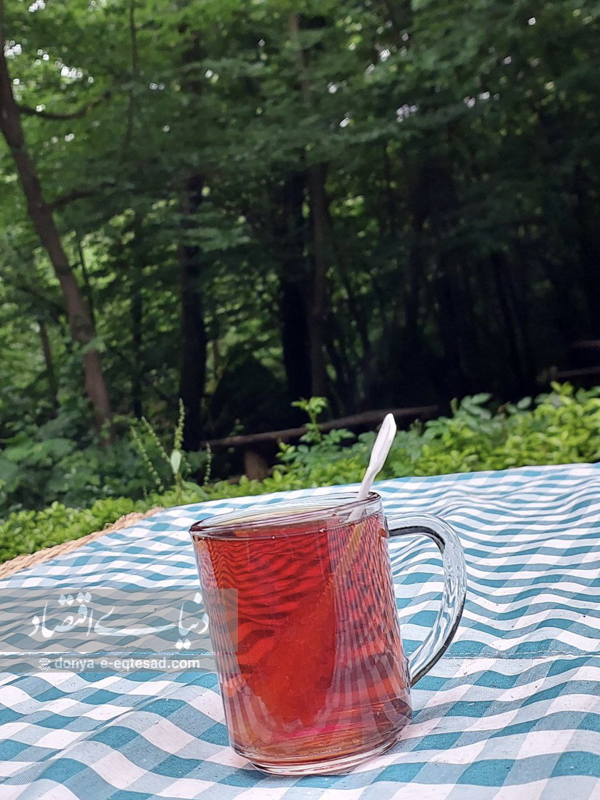 گردشگری
