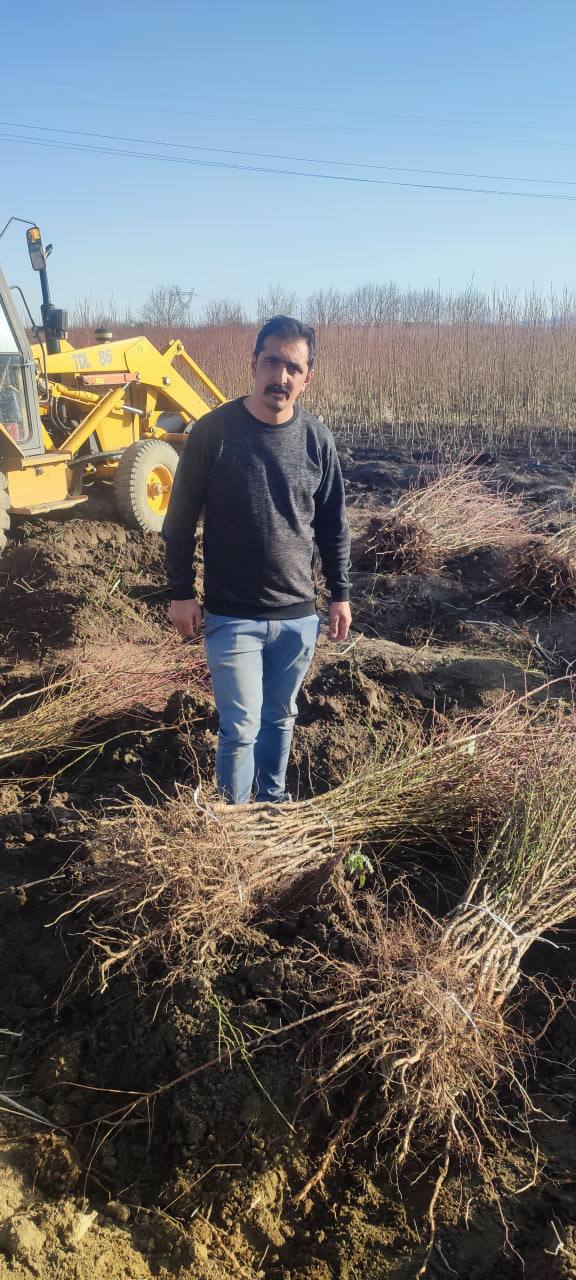 IMG_20251118_143919_610