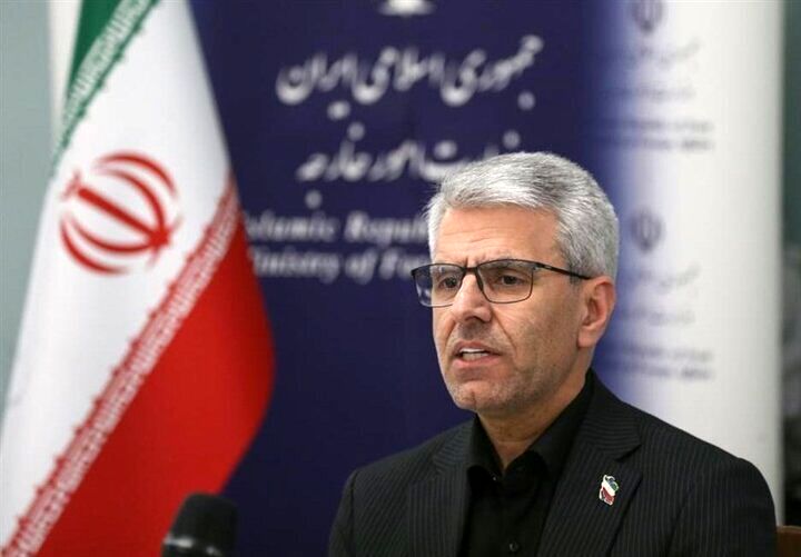 توضیحات مهم سخنگوی وزارت خارجه درباره مذاکرات سوئیس/ پیشرفت در موضوع صدور مجوز فروش نفت و آزادسازی داراییهای مسدود شده/ قرار شد گروه های فنی به کار خود ادامه دهند