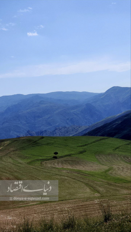 گردشگری