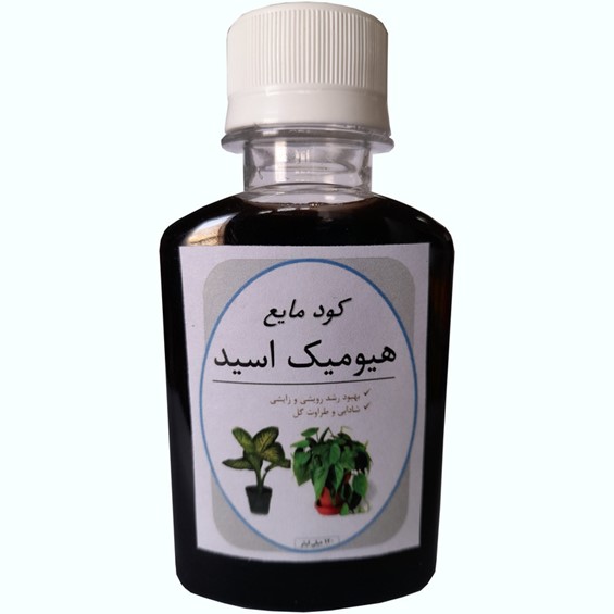 پیش فروش نهال در نهالستان امیرپور آغاز شد! فروش نهال به نصف قیمت پارسال 2