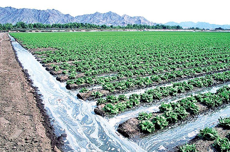 شکاف راندمان تا بهره‌وری آب