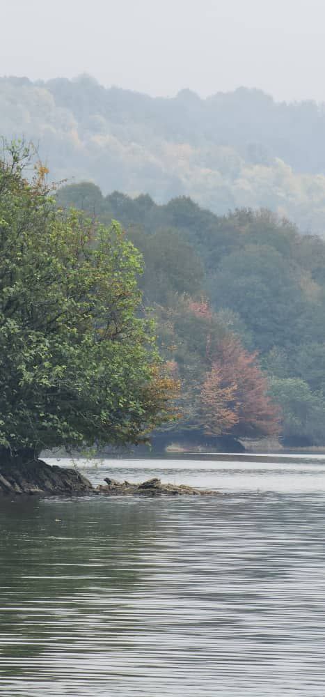 سفر به قاب رنگها؛ پاییز در «برنجستانک» 4