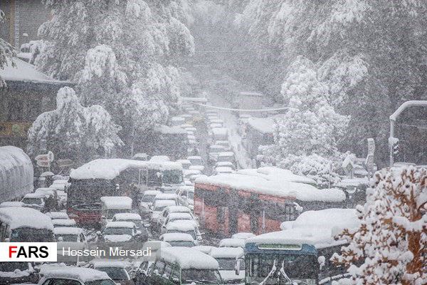 تهرانی برفی در آبان ماه 1398 + تصاویر 4