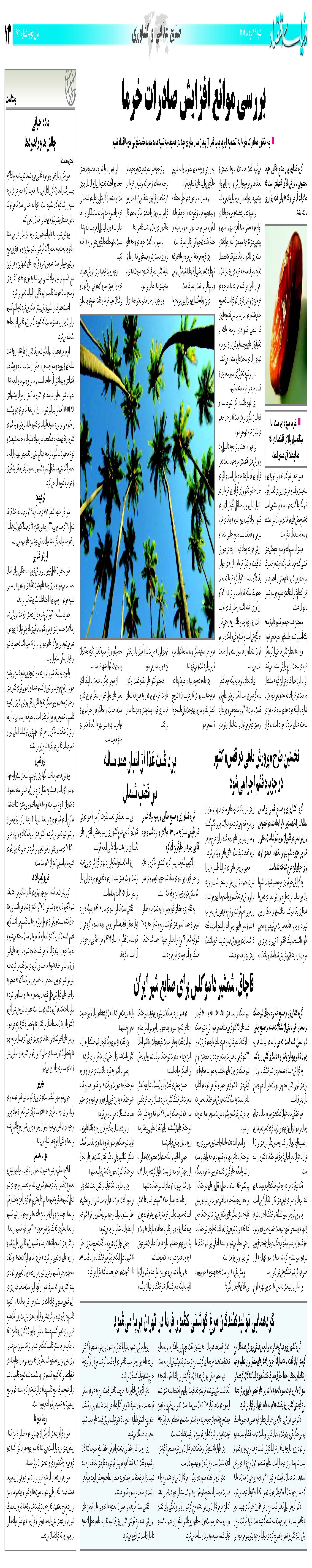 462_Page_13