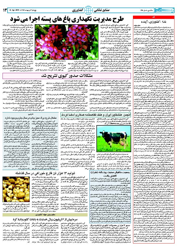 368_Page_13