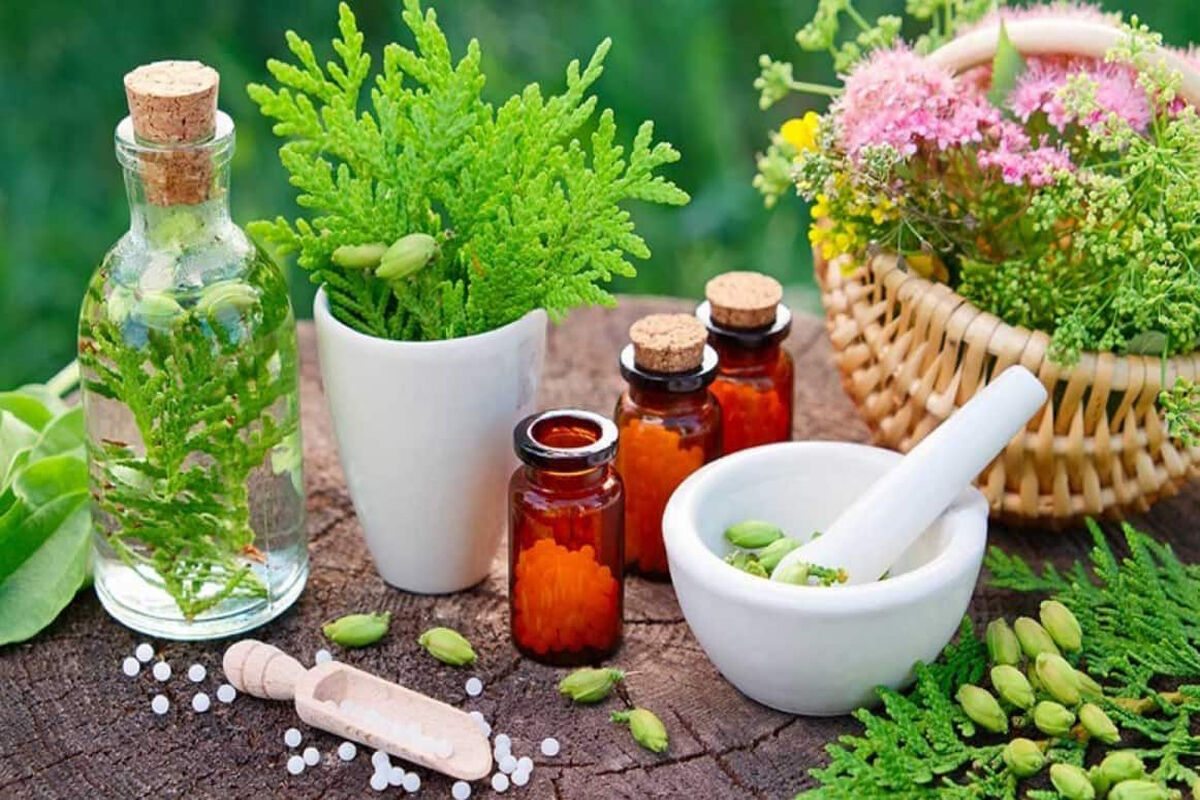 3 گیاهی که به بیماران ام اس کمک می کنند