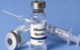 علت افزایش قیمت واکسن آنفلوآنزا چیست؟ + زمان طلایی تزریق 