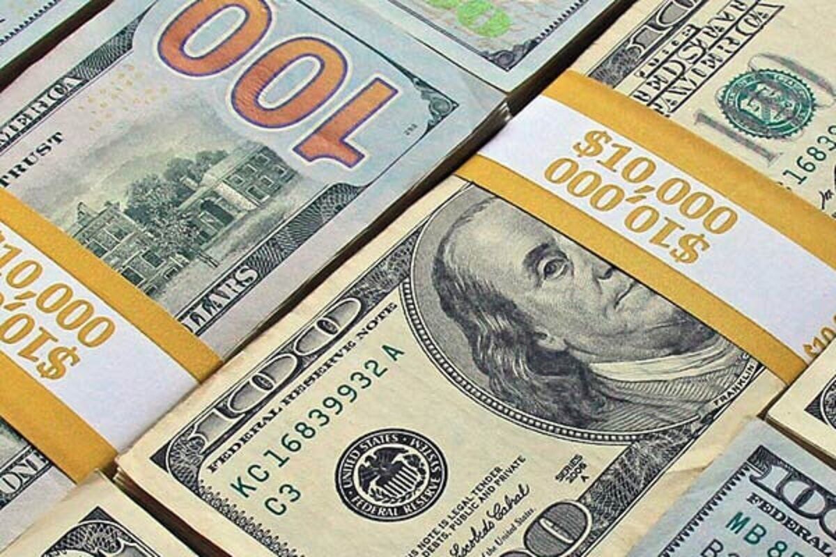 ۶۲۱ میلیون دلار ارز برای واردات دو حوزه اختصاص داده شد