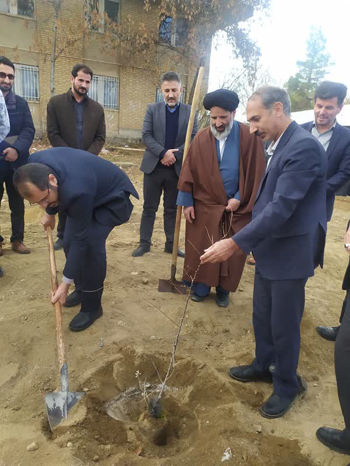 آمادگی همدان برای توسعه نهالکاری در کشور