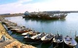 سهم شیلات هرمزگان درارزآوری