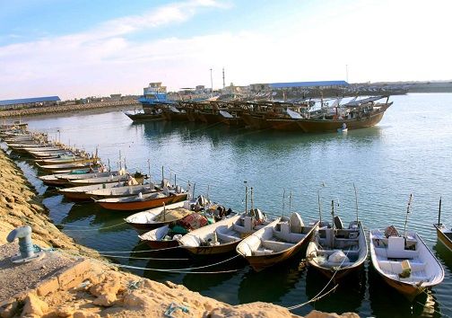 سهم شیلات هرمزگان درارزآوری