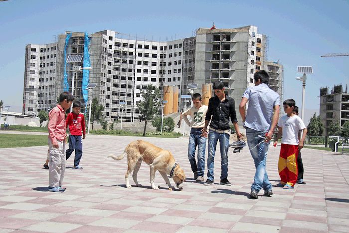 سگ‌گردانی در محل بازی کودکان در بوستان‌ها ممنوع
