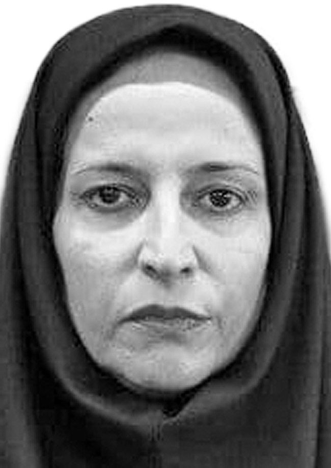 ارزیابی اثرات زیست‌محیطی در برنامه هفتم؛ قانون هست، اجرا مساله است