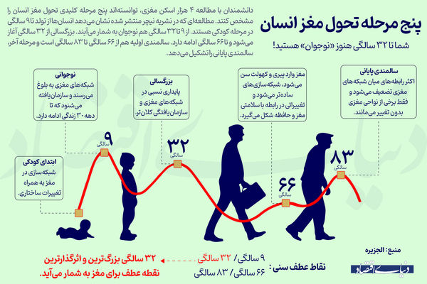 پژوهش‌های تازه از پنج سن اصلی برای تحول و تکامل مغز رونمایی می کند