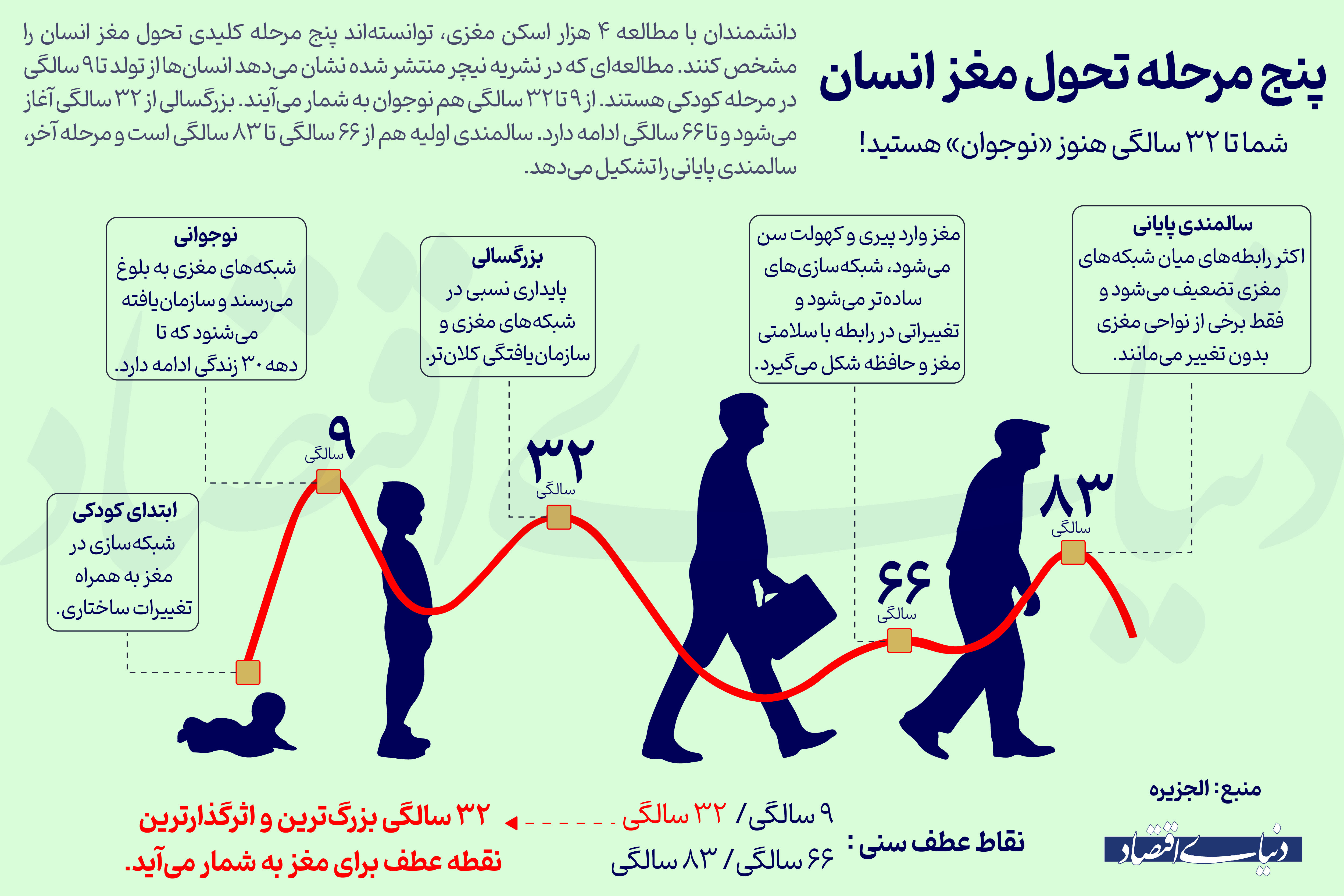 پژوهش‌های تازه از پنج سن اصلی برای تحول و تکامل مغز رونمایی می کند