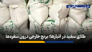 طلای سفید در انبارها؛ برنج خارجی درون سفره‌ها 