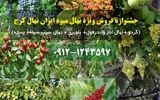 جشنواره فروش ویژه 1170 رقم نهال میوه از نهالستان ایران نهال کرج آغاز شد!