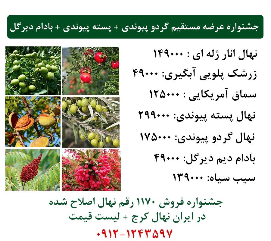 جشنواره عرضه نهال گردو چندلر, فرنور + پسته پیوندی + بادام دیرگل دیم بارکددار در ایران نهال کرج ارسال یک روزه به سراسر ایران