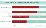 اختلال در دولت الکترونیک