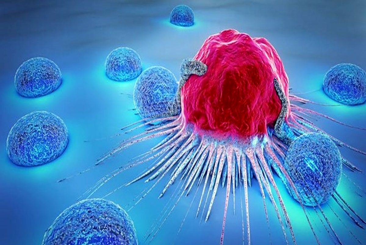 تاثیر فیبر بر تقویت سیستم ایمنی بدن در برابر سرطان