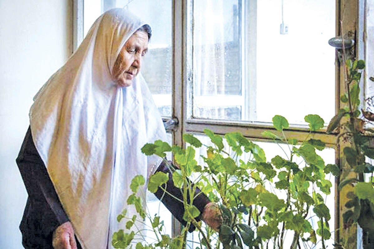 سونامی زنان سالمند مجرد