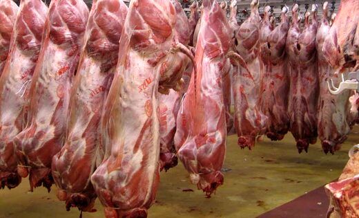 احتمال کاهش قیمت گوشت قرمز در ماه رمضان