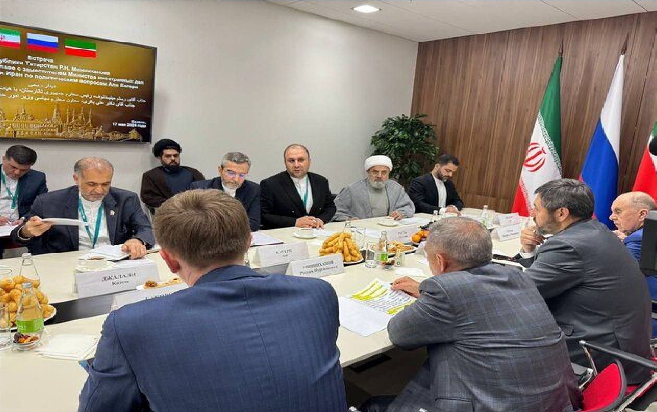 دیدار و رایزنی علی‌ باقری با رئیس جمهوری تاتارستان