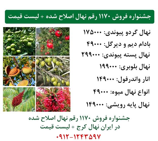 جشنواره عرضه مستقیم 1170 رقم نهال اصلاح شده بارکددار در ایران نهال کرج+  ارسال یک روزه به سراسر ایران