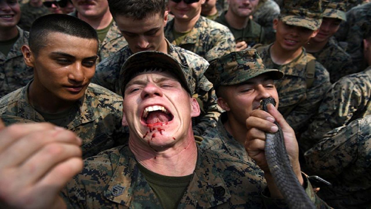 خوردن مارمولک و خون مار در تمرینات نظامی آمریکا+ عکس 